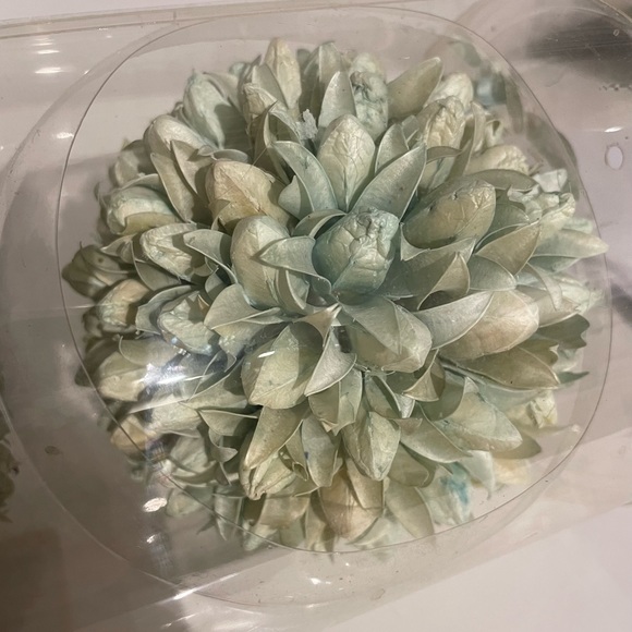 Danson Decor Dried Chrysanthemum Floral Balls - Picture 5 of 6